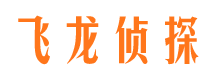 芦山找人公司